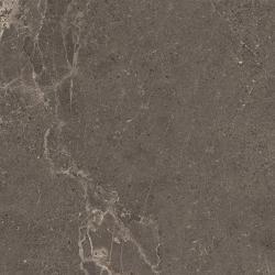 VitrA 60x60, Meteorite, Fon, Vizon, R10B
