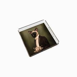 Adawall Mr. Cat Pleksi Tepsi PT2104 25x25 cm