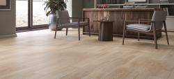 AGT Marco Polo Premium Hudson 12 mm Laminat Parke
