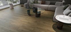 AGT Effect Premium Atlas 12 mm Laminat Parke