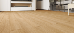 AGT Concept NEO Vieste 10 mm Laminat Parke