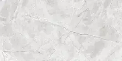 Altın Seramik 60x120 Stella