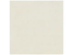 Anatolia 120x120 Architeq Micro Bone Rektifiye Honlu