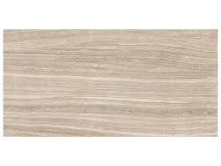 Anatolia 30x60 Eramosa Sand Rektifiye Parlak