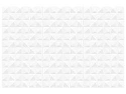Anatolia 30x60 Linea Prizmatic Rektifiye Parlak