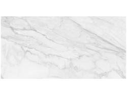 Anatolia 60x120 Plata Statuario Brina Rektifiye Mat