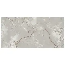 Anka Seramik 60x120 Asel Gri Full Lappato