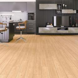ÇAMSAN Modern Falya 718 8 mm Laminat Parke