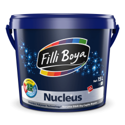 Filli Boya Nucleus