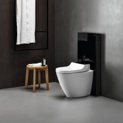 Geberit Yere oturan klozet için Monolith Plus sıhhi modülü, ön 50,5x10,6x114 cm Ön: lav rengi / Cam / Yan kaplama: siyah / Fırçalanmış alüminyum uygulama örneği