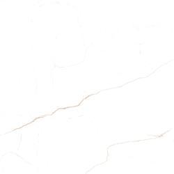 Graniser 60x60 Vena Parlak