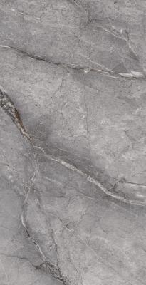 Güral Seramik Olvido-Silver Olvido Full Silver 60x120 Lappato Sırlı Porselen