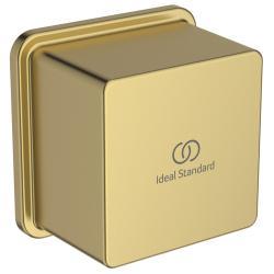 Ideal Standard Idealrain Duvardan Duş Kolu 59x60x59 mm Fırçalanmış Altın