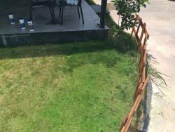 ISONEM GRASS PAINT Yeşil 1 kg uygulama örneği