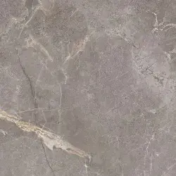 Çanakkale Seramik 45x45 Salvia Gri Parlak Sırlı Granit