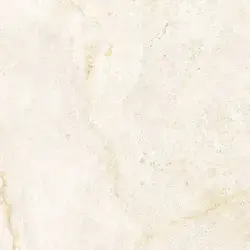 Çanakkale Seramik 60x60 Salvia Mat Kemik Sırlı Granit