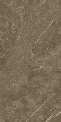 Çanakkale Seramik 30x60 Alegra Kahve Parlak Duvar Karosu