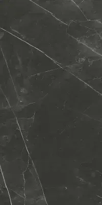 Çanakkale Seramik 40x80 Sandra Siyah Parlak Duvar Karosu