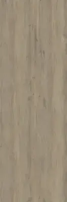 Çanakkale Seramik 100x300 EC Plank BG 104 Mat Porselen Plaka