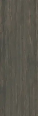 Çanakkale Seramik 100x300 EC Plank BG 114 Porselen Plaka