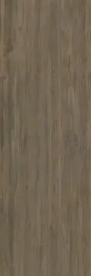Çanakkale Seramik 100x300 EC Plank BG 110 Porselen Plaka