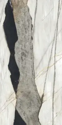 Çanakkale Seramik 162x323 Black Swan Mat Kalesinterflex Porselen Plaka