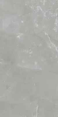 Çanakkale Seramik 41x81 Pulpis M. Gri Parlak Duvar Karosu