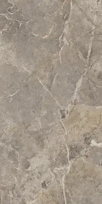 Çanakkale Seramik 60x120 Fioridi Bosco Beyaz Yarı Parlak Porselen Karo