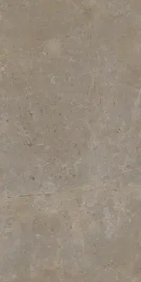 Çanakkale Seramik 40x80 Capella Vizon Mat Duvar Karosu