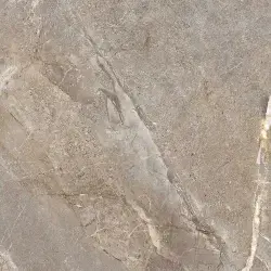 Çanakkale Seramik 60x60 Salvia Sütlü Kahve Parlak Sırlı Granit