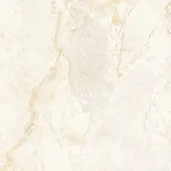 Çanakkale Seramik 60x60 Salvia Parlak Kemik Sırlı Granit
