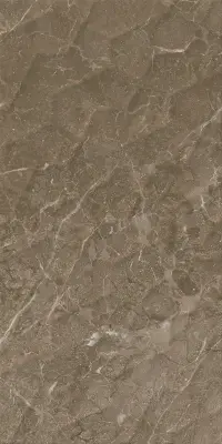 Çanakkale Seramik 30x60 Alegra Kahve Parlak Dekor