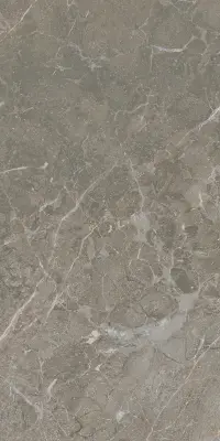 Çanakkale Seramik 30x60 Alegra Gri Parlak Duvar Karosu