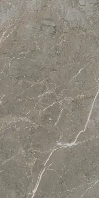 Çanakkale Seramik 30x60 Alegra Gri Parlak Duvar Karosu