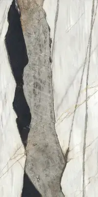 Çanakkale Seramik 162x323 Black Swan Mat Kalesinterflex Porselen Plaka