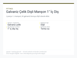 Galvaniz Çelik Dişli Manşon 1" İç Diş