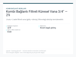 Kombi Bağlantı Filtreli Küresel Vana 3/4" — 2li