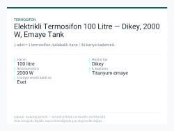 Elektrikli Termosifon 100 Litre — Dikey, 2000 W, Emaye Tank