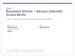 Biyoetanol Şömine — Bacasız, Dekoratif, Duvara Monte