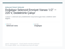 Doğalgaz Selenoid Emniyet Vanası 1/2" — 220 V, Dedektörle Çalışır