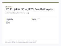 LED Projektör 50 W, IP65, Sıva Üstü Ayaklı