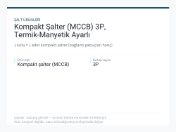 Kompakt Şalter (MCCB) 3P, Termik-Manyetik Ayarlı