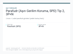 Parafudr (Aşırı Gerilim Koruma, SPD) Tip 2, 3P+N