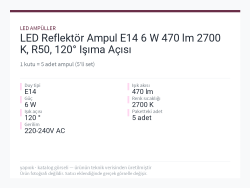 LED Reflektör Ampul E14 6 W 470 lm 2700 K, R50, 120° Işıma Açısı