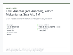 Tekli Anahtar (Adi Anahtar), Yalnız Mekanizma, Sıva Altı, 1M