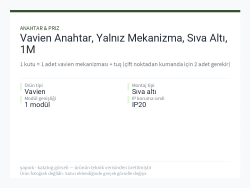 Vavien Anahtar, Yalnız Mekanizma, Sıva Altı, 1M