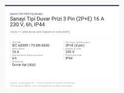 Sanayi Tipi Duvar Prizi 3 Pin (2P+E) 16 A 230 V, 6h, IP44