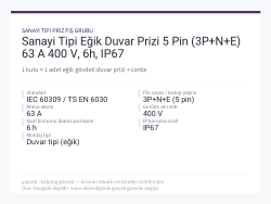 Sanayi Tipi Eğik Duvar Prizi 5 Pin (3P+N+E) 63 A 400 V, 6h, IP67