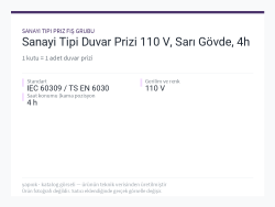 Sanayi Tipi Duvar Prizi 110 V, Sarı Gövde, 4h