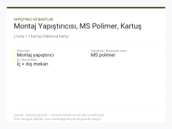 Montaj Yapıştırıcısı, MS Polimer, Kartuş